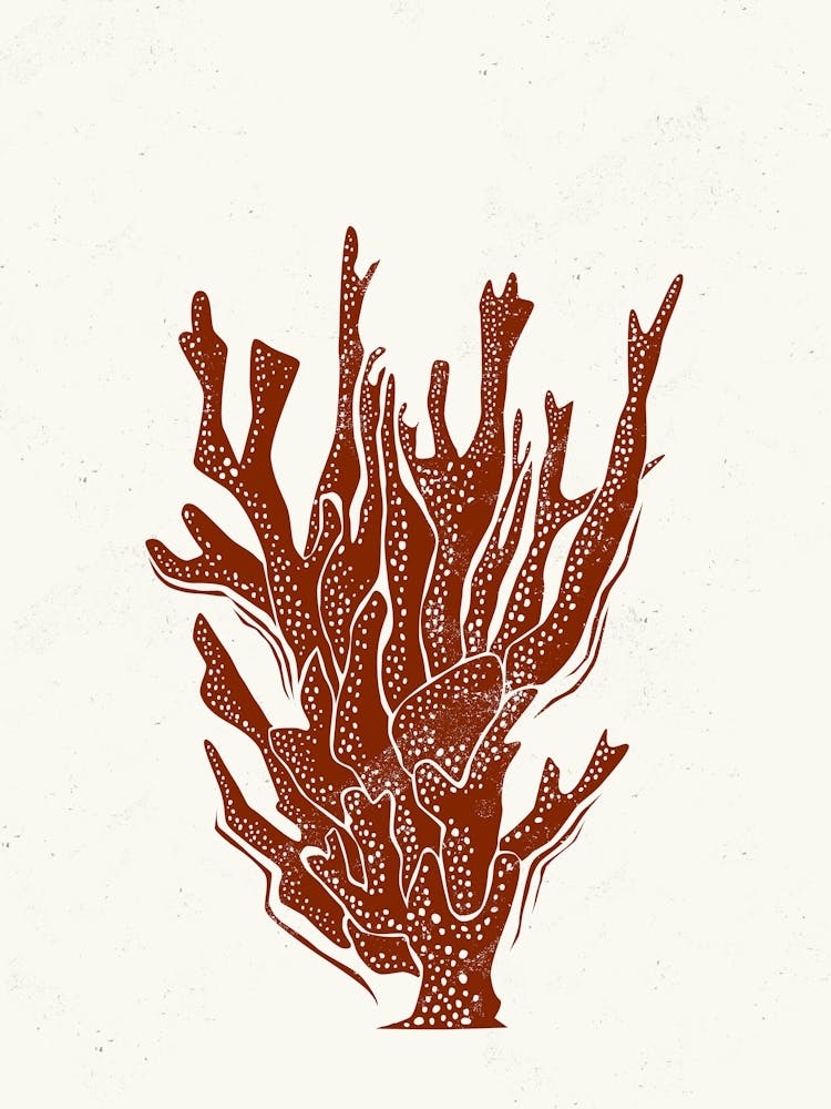 017 Coral Linocut