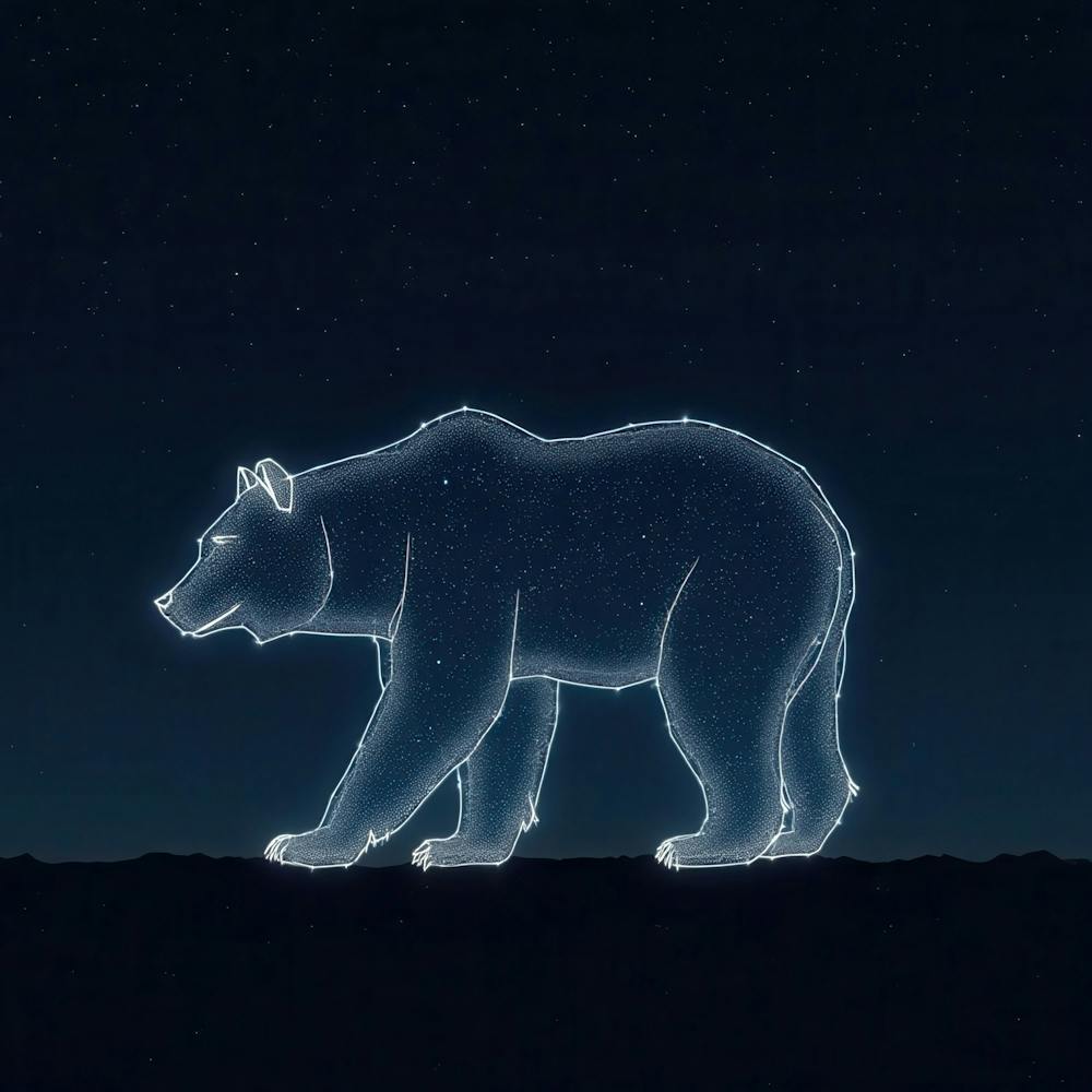 Polar Bear In The Night Sky