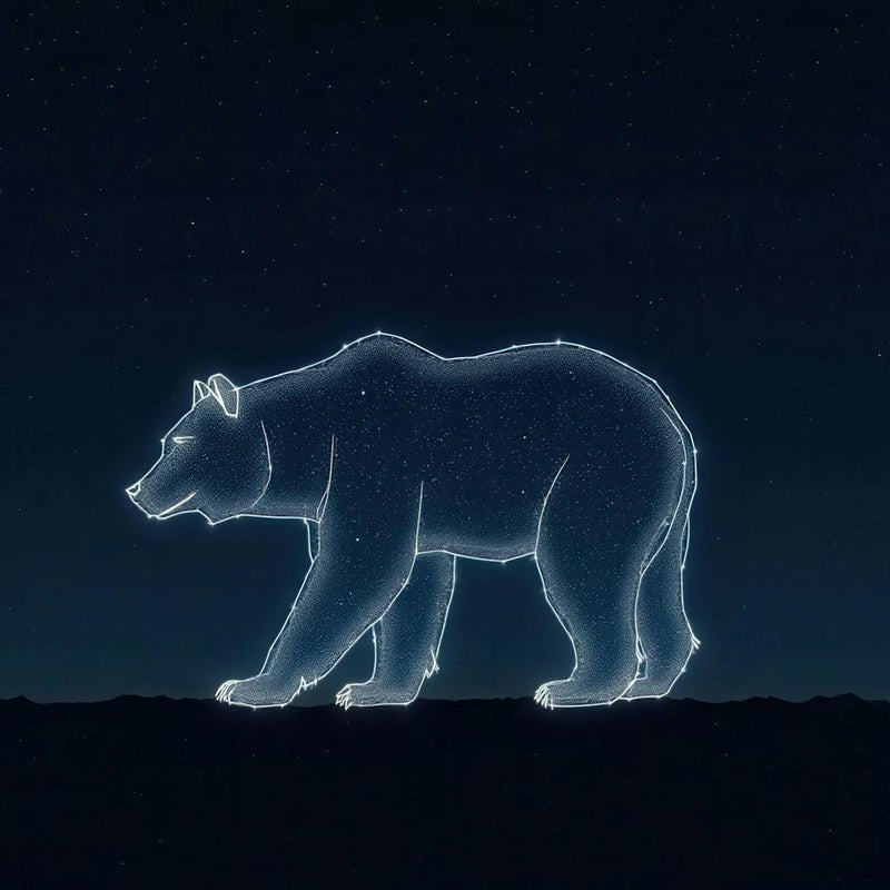 Polar Bear In The Night Sky