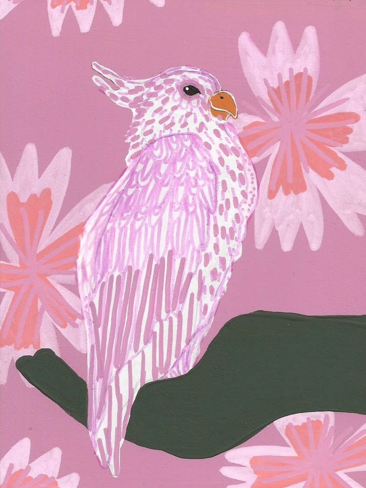 Tropical Bird 10
