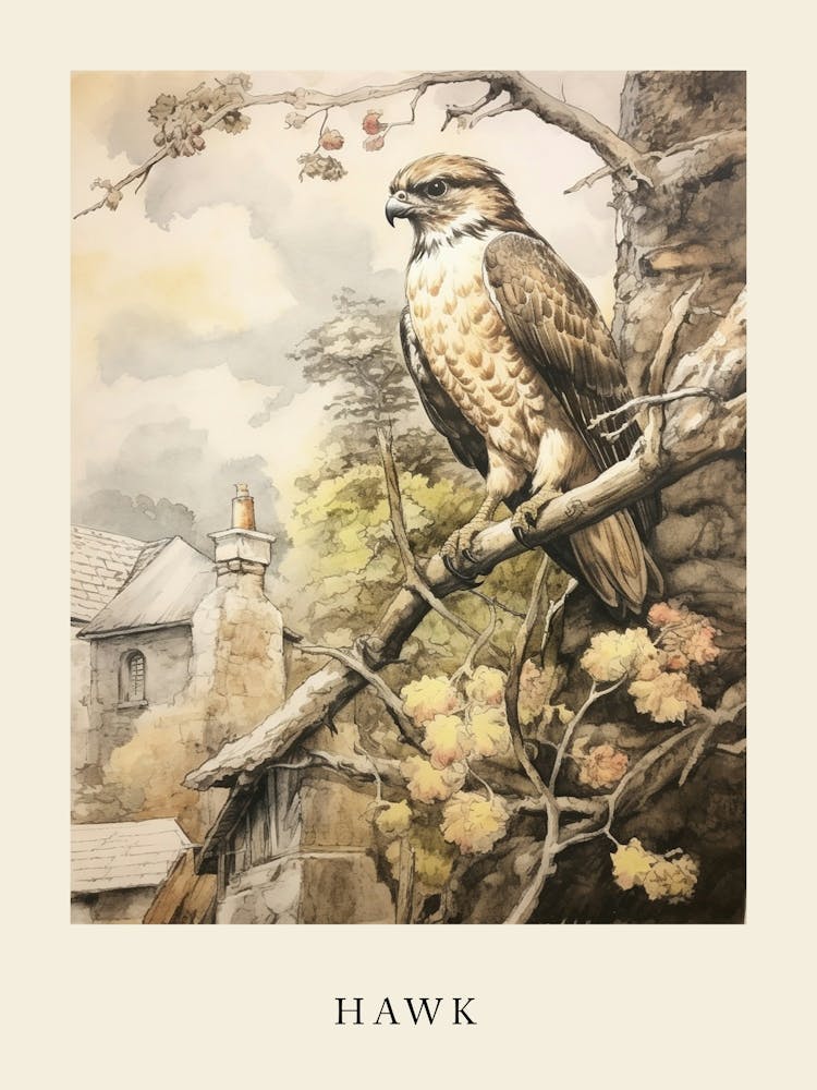 Beatrix Potter Inspired  Animal Watercolour Hawk 2