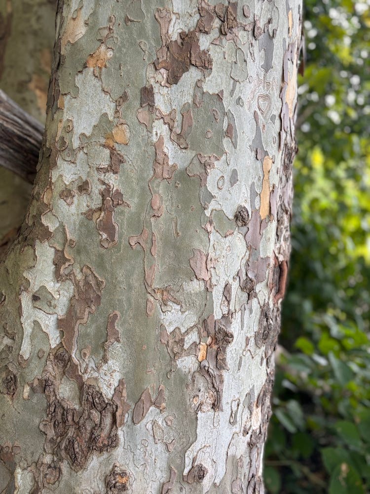 Hudson color palatte