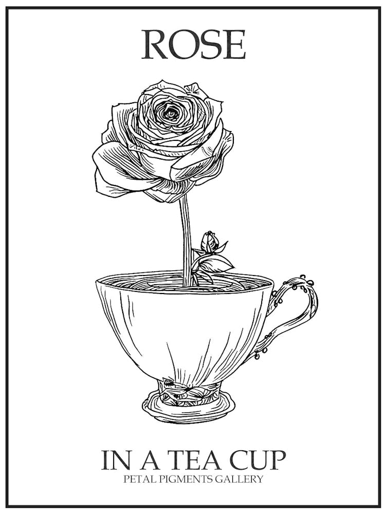 Rose In A Tea Cup Line Drawing 2 Poster