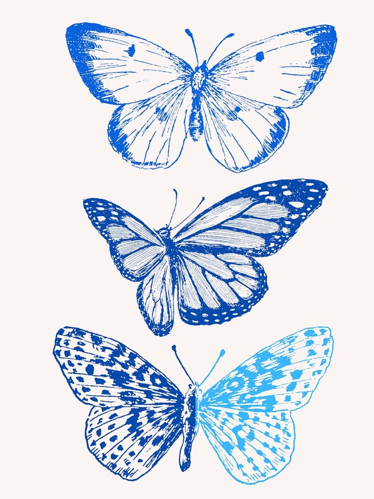 Blue Butterflies 2
