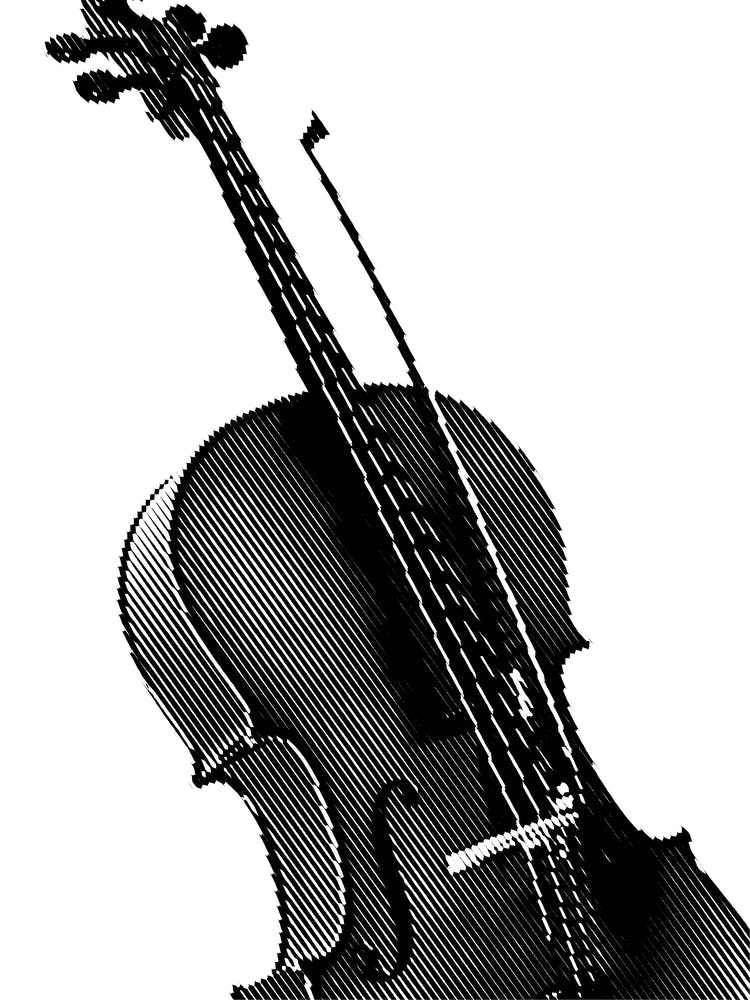 Violin