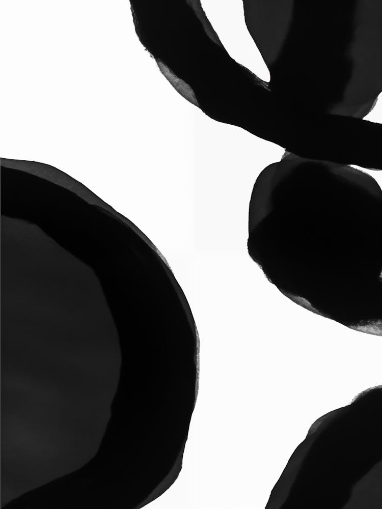 Black Circles