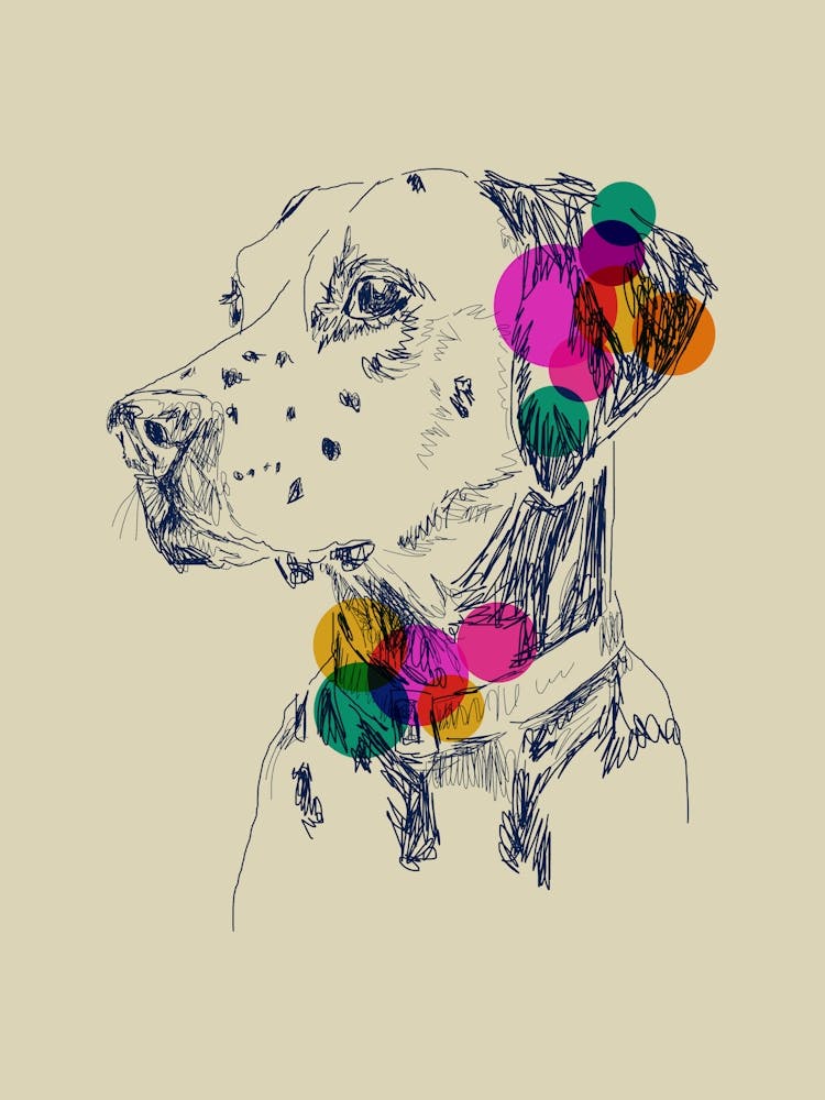 Dalmatian