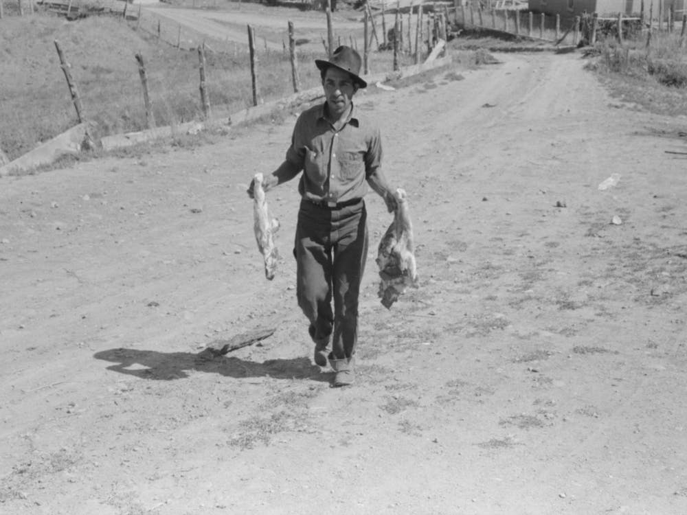 Spanish American Farmer With Fresh Pork From Hog He Has Just Slaughtered And Dressed, Chamisal, New Mexico