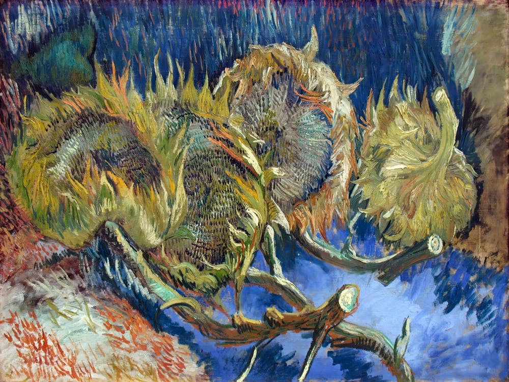 Four Withered Sunflowers (1887), Vincent Van Gogh