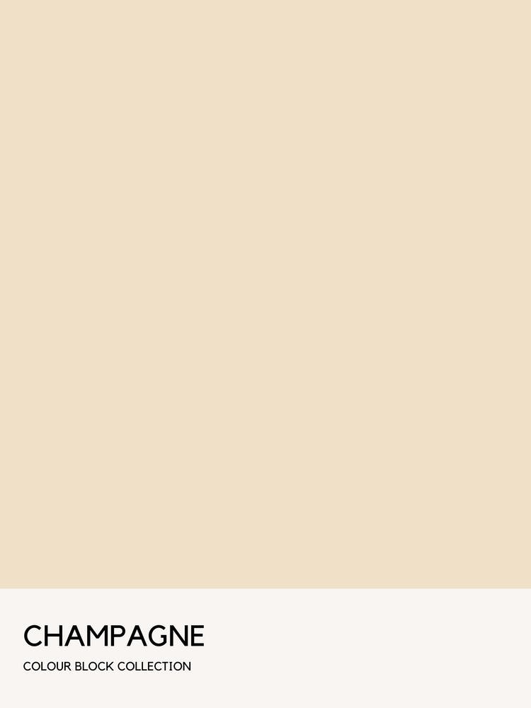 Champagne Colour Block Poster