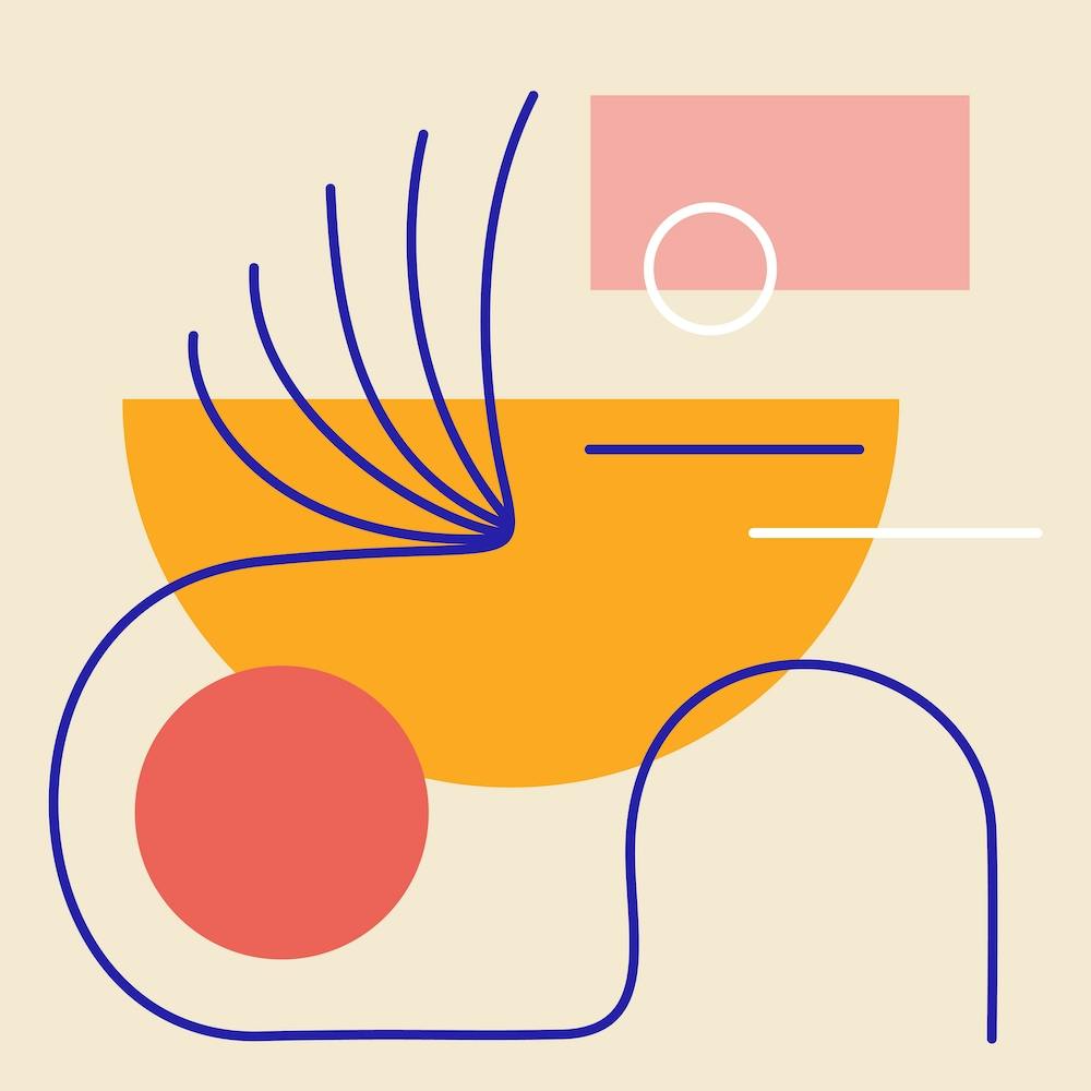 How To Teach Parrot To Play Basketball Square