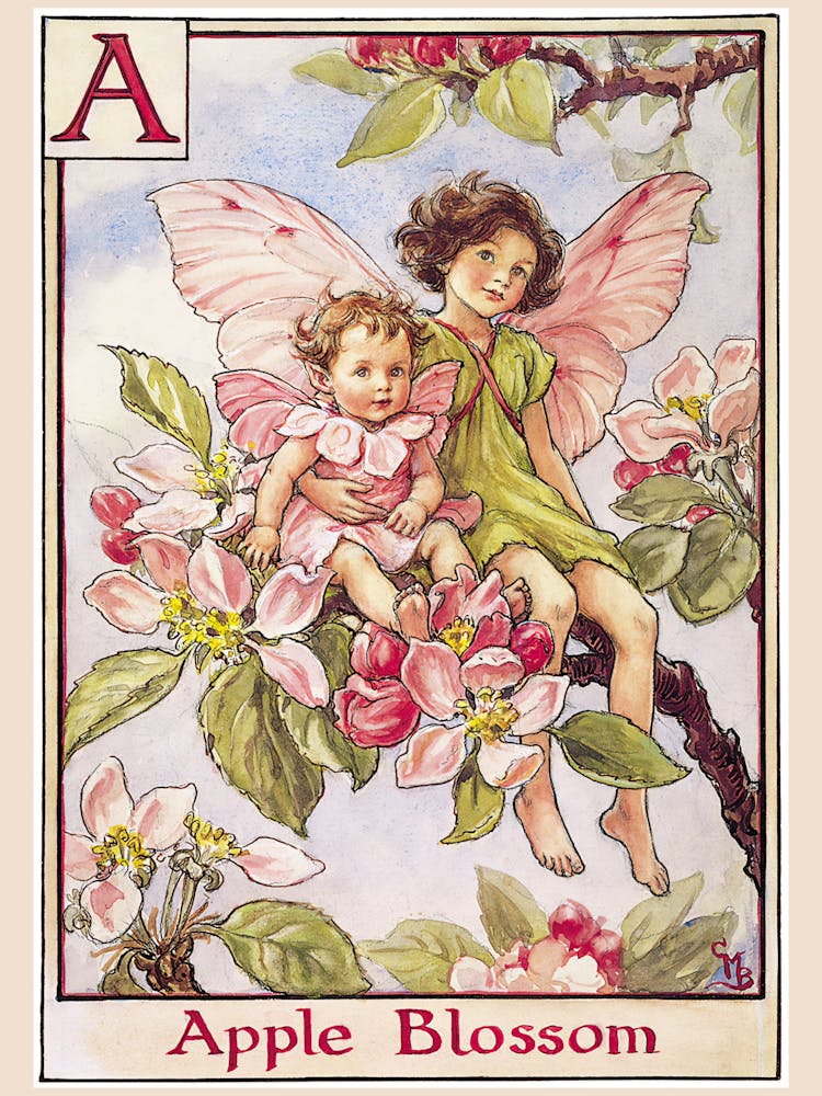 The Apple Blossom Fairy - Victorian Fairies by Cicely Mary Barker in HD