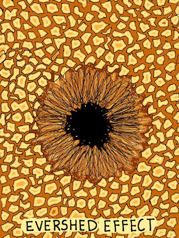 Evershed Effect Sun Spot Science lover Astrophysics