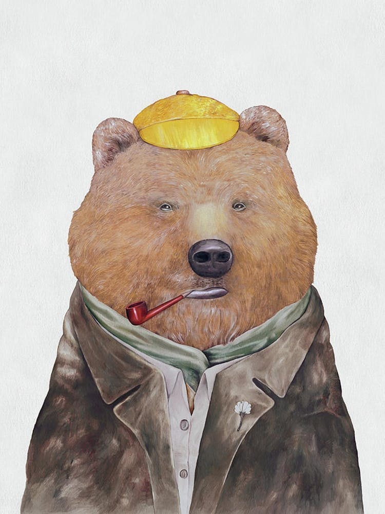 Bear In A Suit Brown Bear Portrait