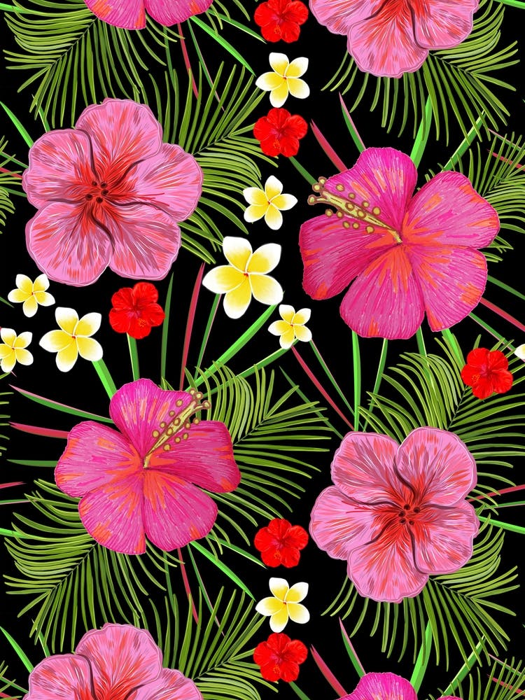 Hibiscus And Frangipani