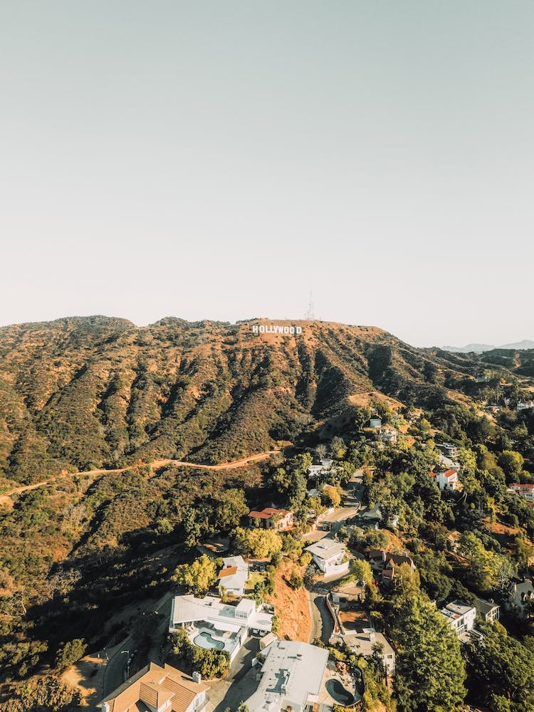 Hollywood Hills
