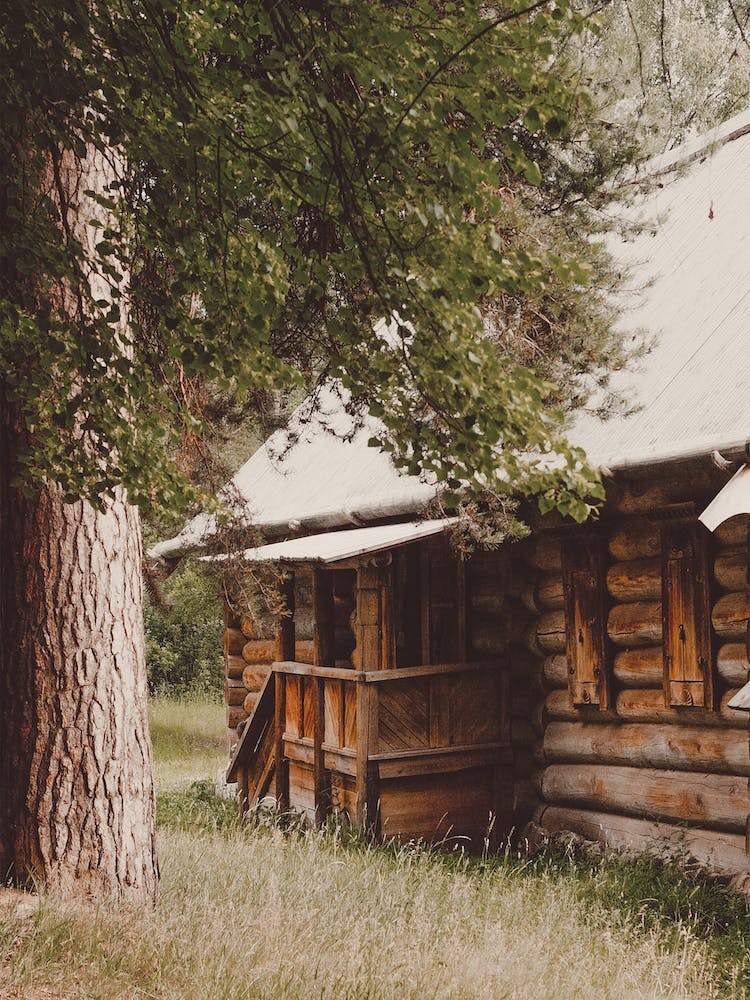 Log Cabin In Meadow