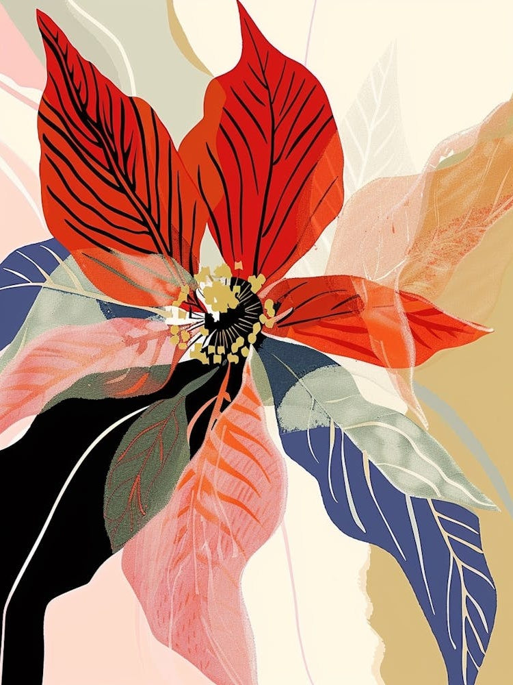 Colourful Flower Illustration Poinsettia 4