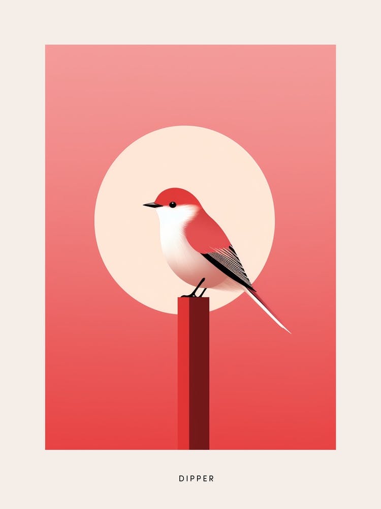 Minimalist Dipper 1 Bird Poster