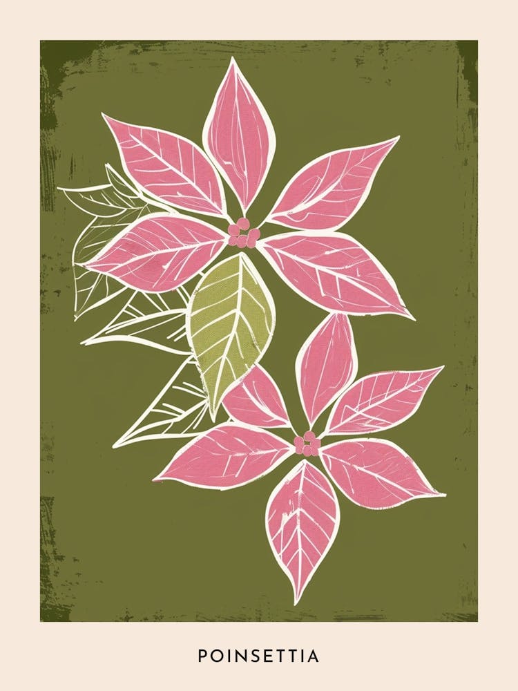 Pink & Green Poinsettia 2 Flower Poster