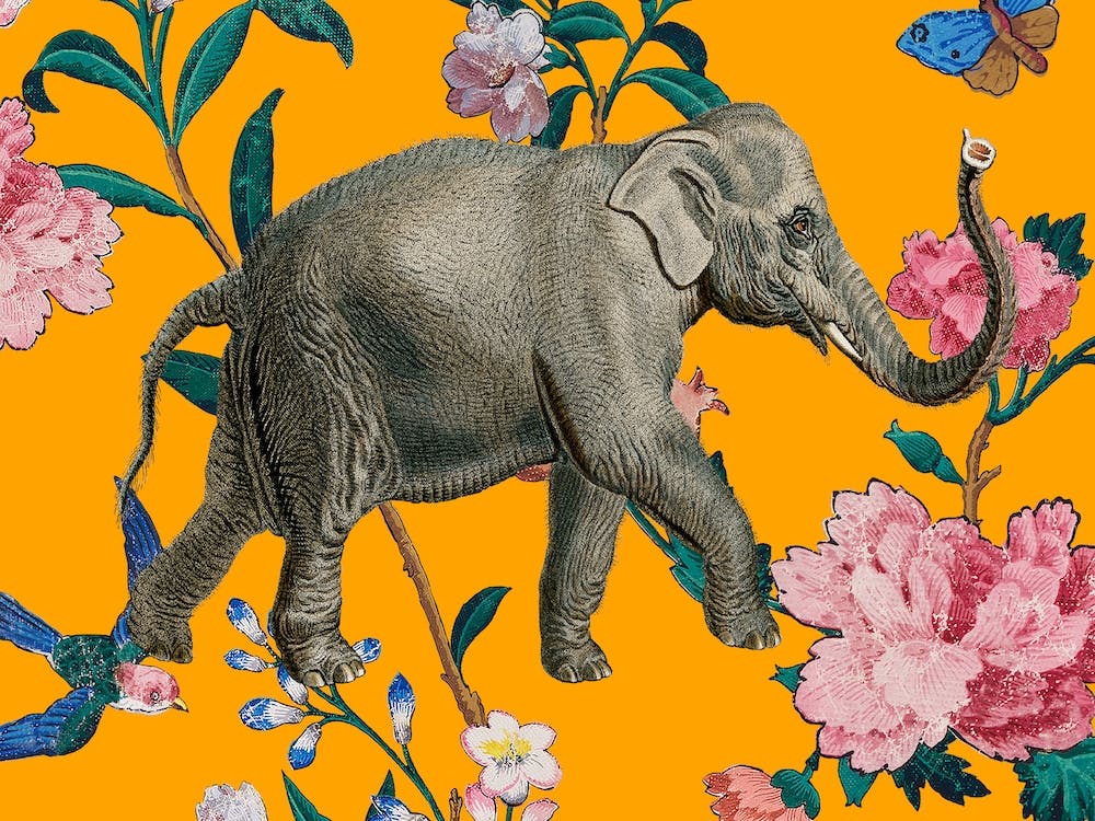 Elephant Floral Twist Vintage Illustration Yellow