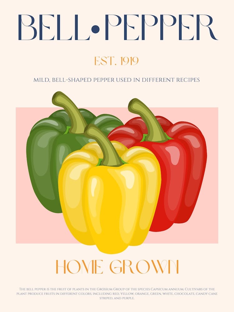 Bell Pepper Mid Century