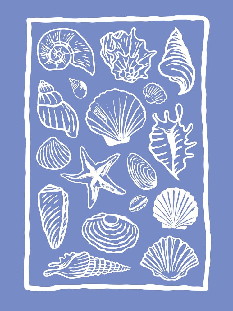 Seashells Blue