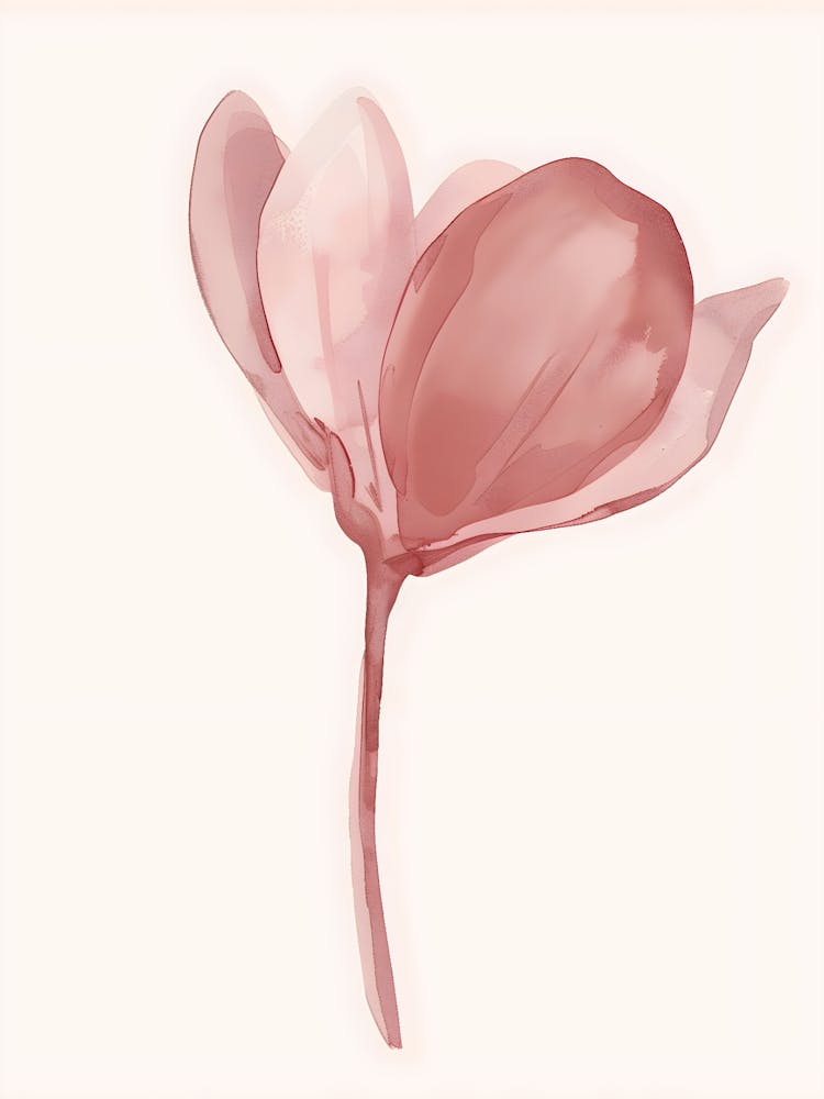 Pink Magnolia