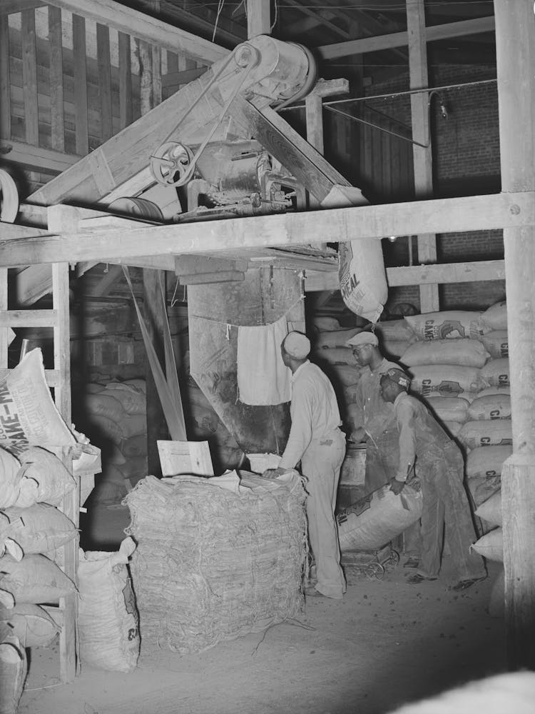 Sacking Cotton Seed Meal,Cotton Seed Oil Mill, Mclennan County, Texas By Russell Lee