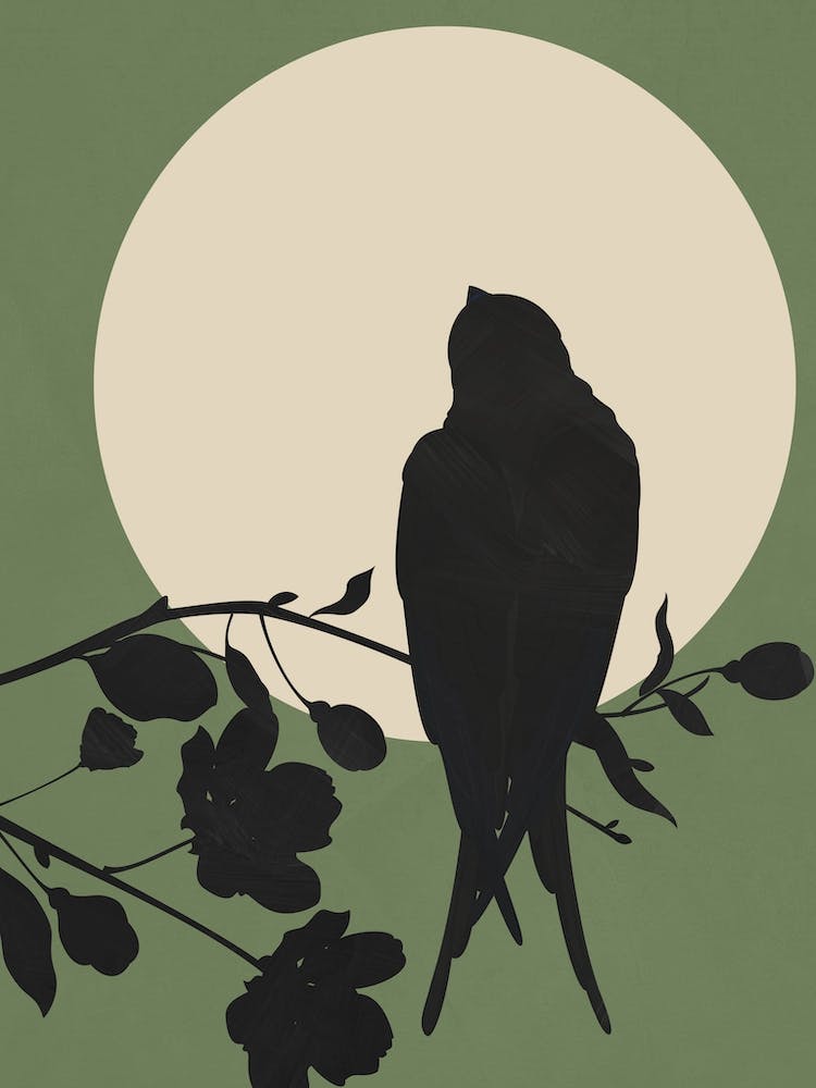 Swallow In The Moonlight 1