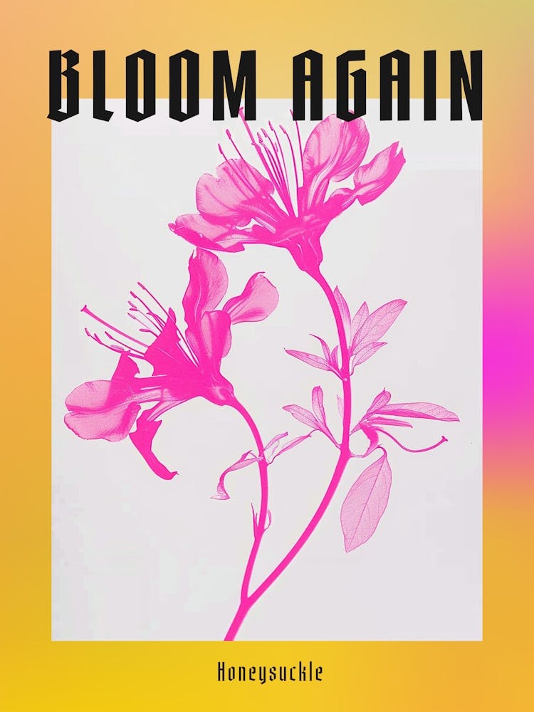 Hot Pink Honeysuckle 2 Poster