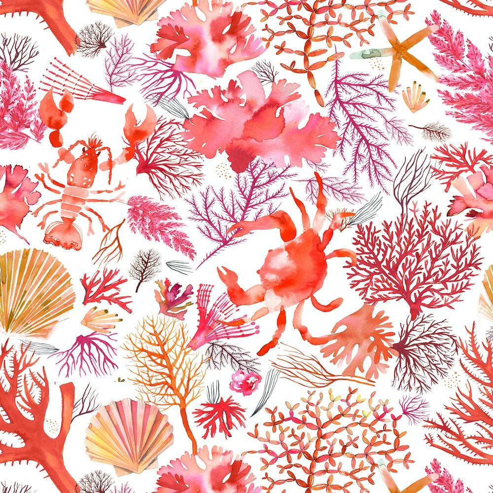 Corals Reef Crab Orange Square