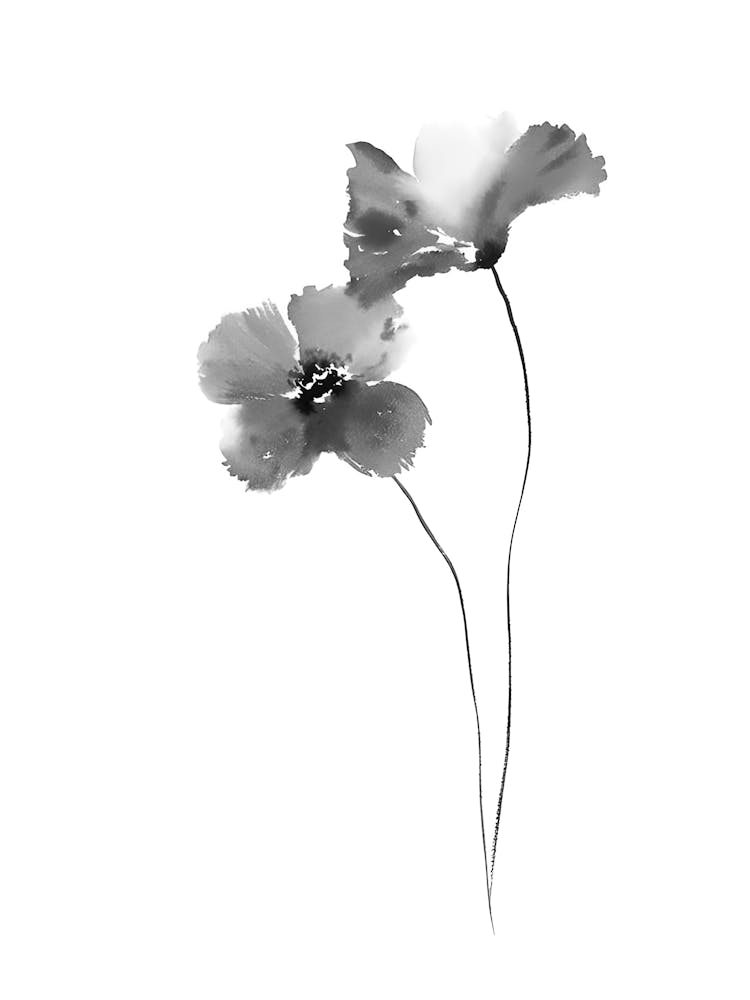 Black And White Flowers 9