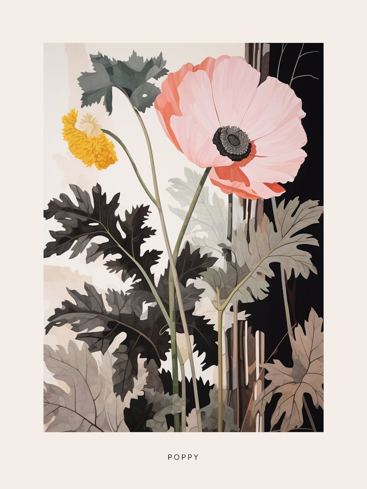 Flower Illustration Poppy 1 Poster