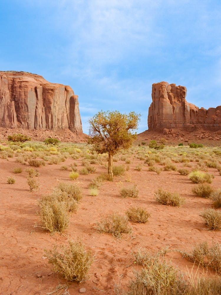 Monument Valley X on Film