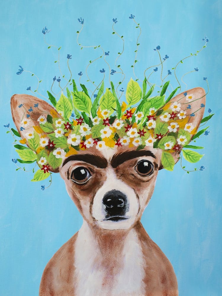 Frida Kahlo Chihuahua