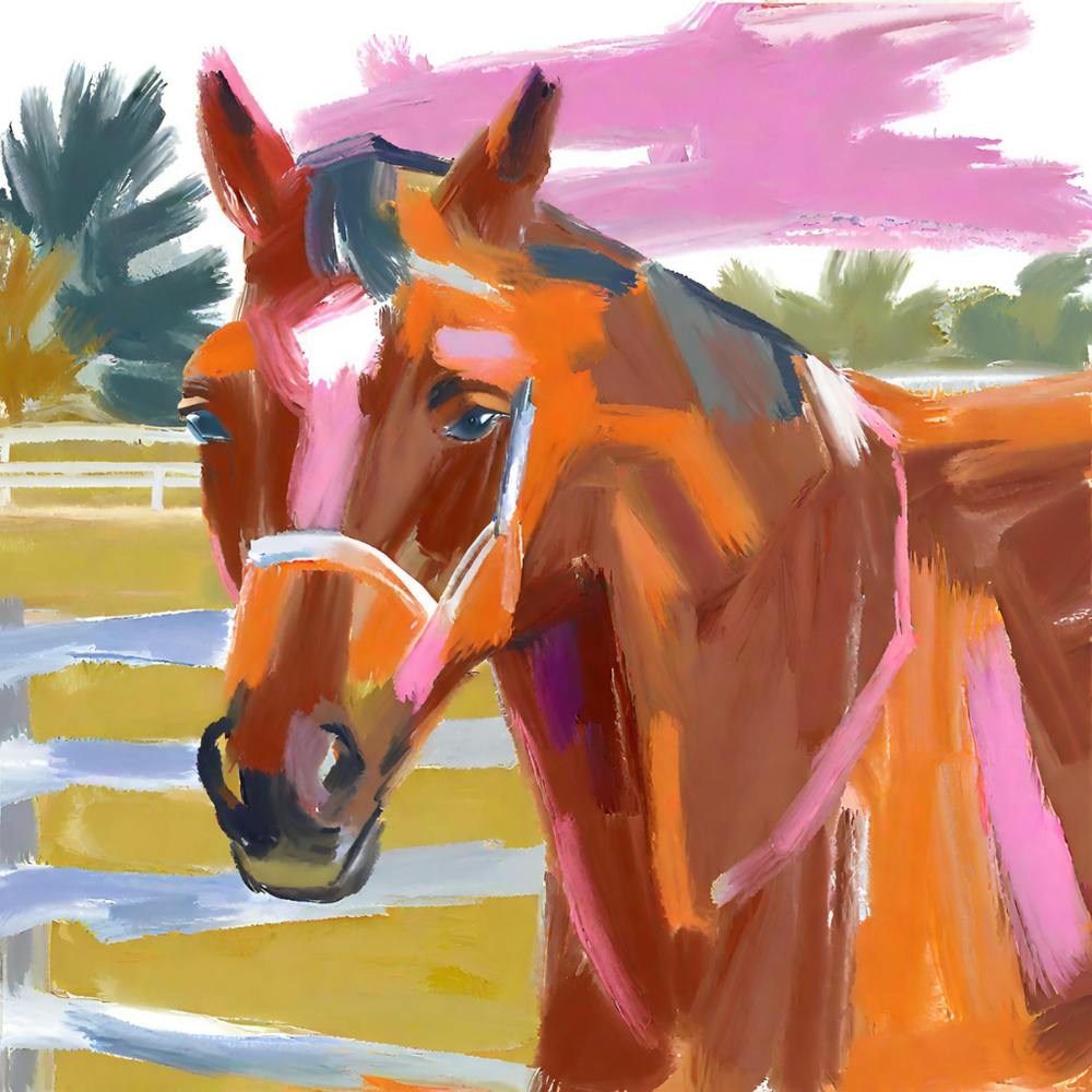 Thoroughbred Horse 01