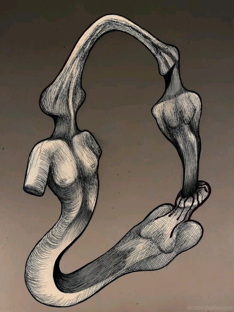 S-Form