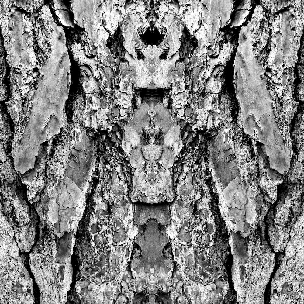 Barking Mad Too 2 Bw