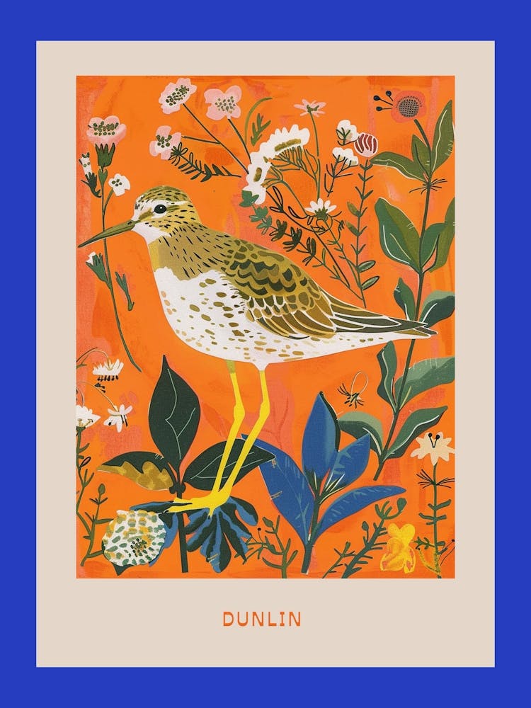 Spring Birds Poster Dunlin 1