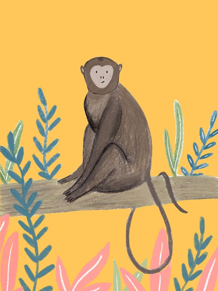 Monkey