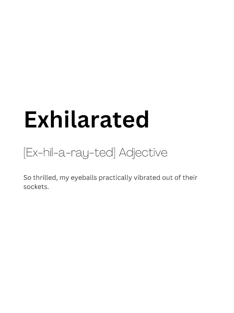 Exhilarated Definition Meaning