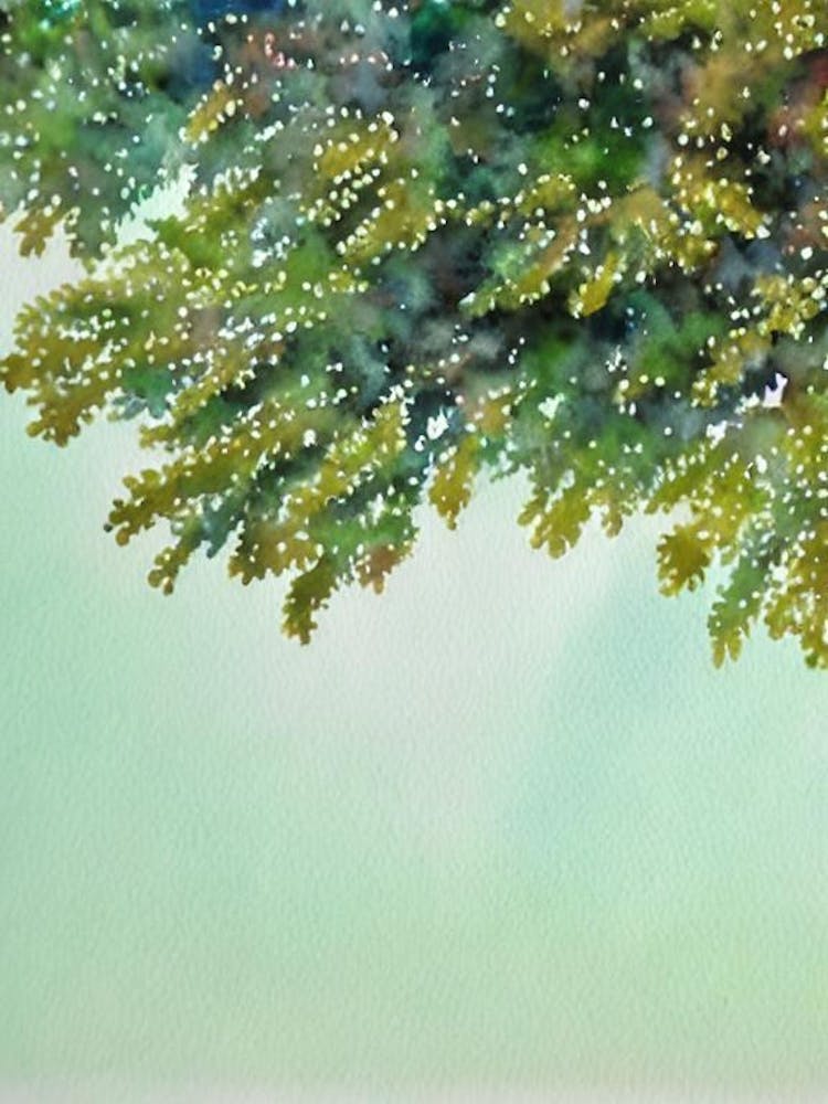 Acropora Yongei Iiii Storybook Watercolour