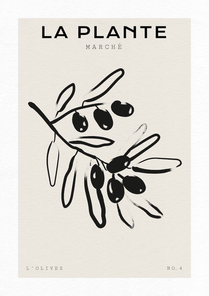 Boho Bohemian 6 Olives