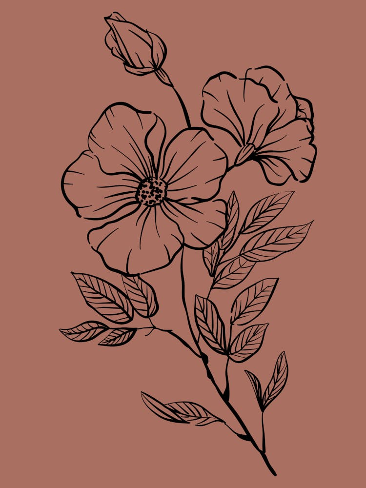 Flowers On A Brown Background