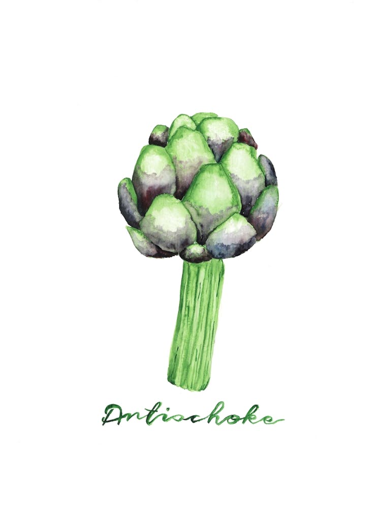 Artischocke