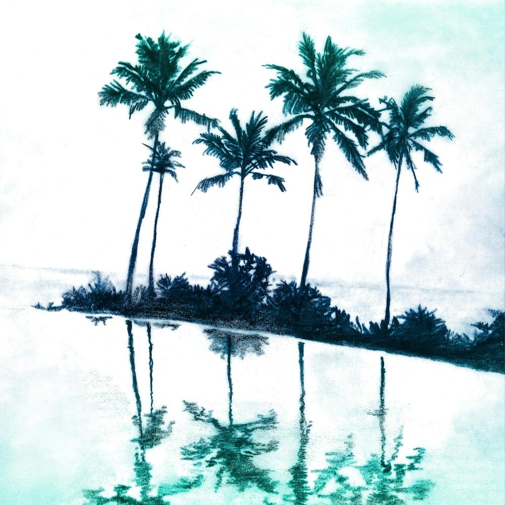 Palm Tree Reflections Teal Square