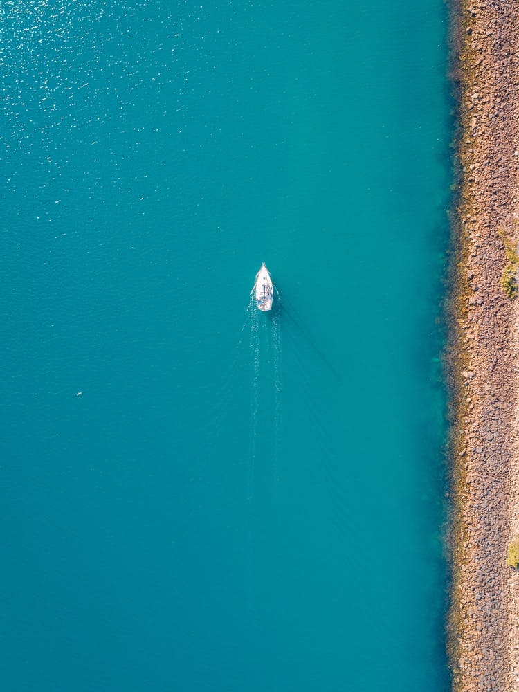 Lone Boat And Bird In Dana Point