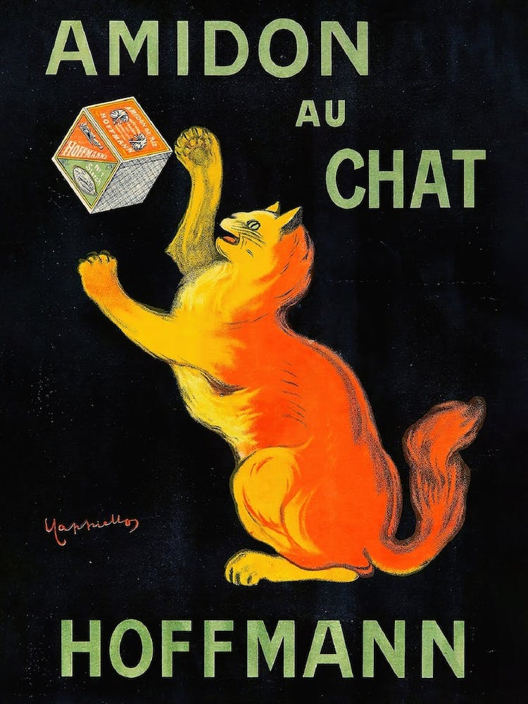 Amidon Au Chat Poster