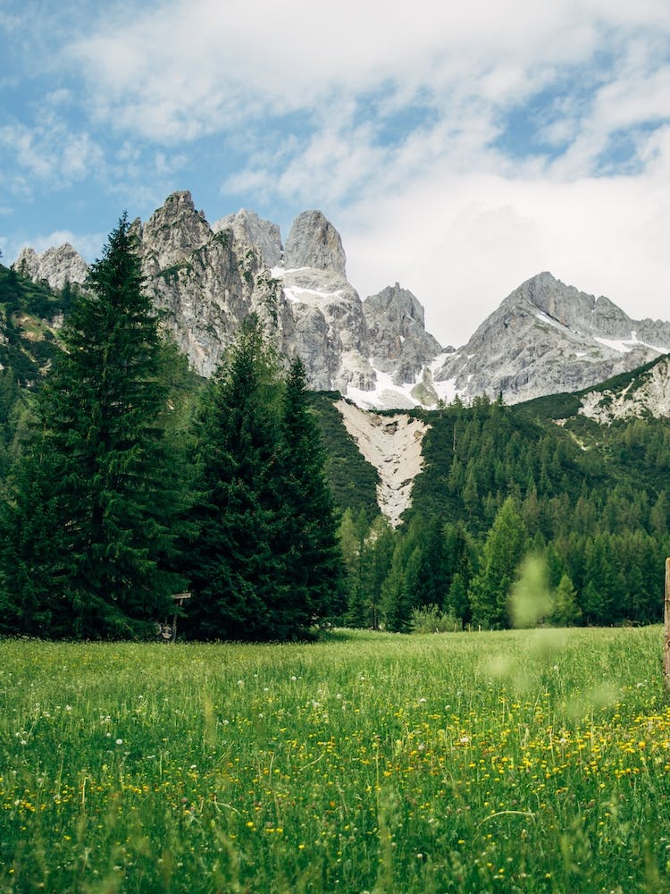 Austrian Alps Meadow